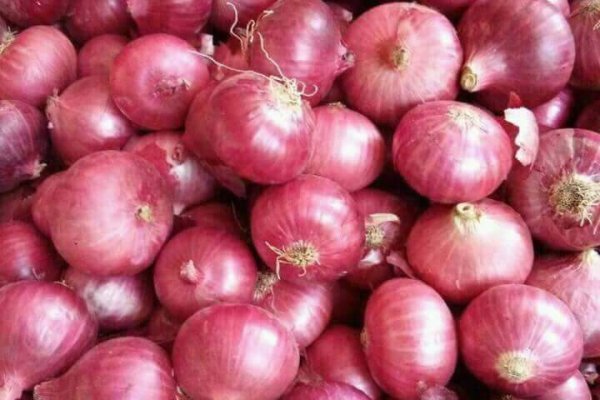 Проверенные ссылки на матангу onion top com