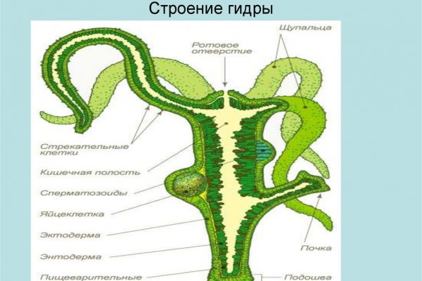 Как зайти на кракен дарк